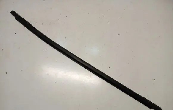 Renault Arkana Rear door trim (molding) 17116347422