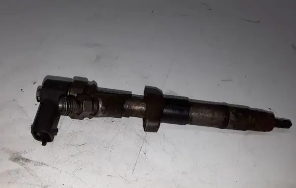 Renault Espace - Grand espace IV Fuel injector 8200084534 0445110084