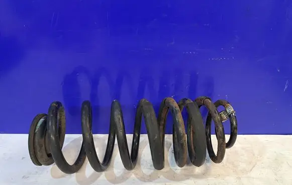 Chevrolet Tahoe Rear coil spring 15234633
