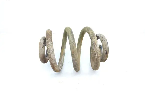Rear coil spring