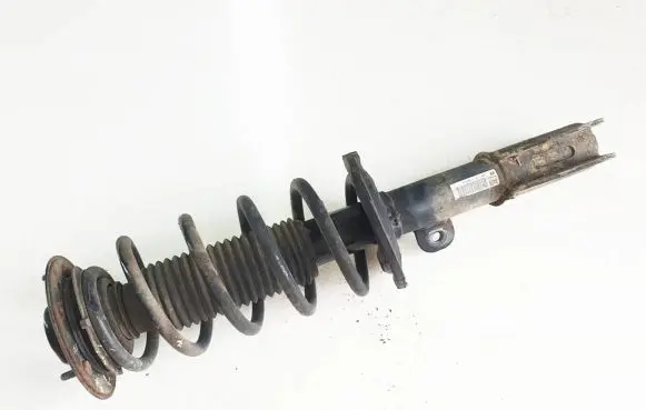 Opel Antara Front shock absorber with coil spring 2611061508