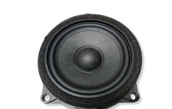 BMW X3 G01 Rear door speaker 6809629 65136809629