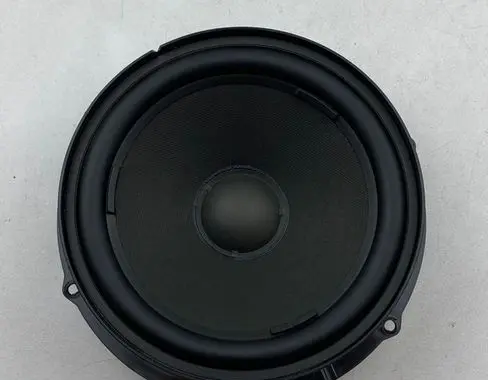 Rear door speaker