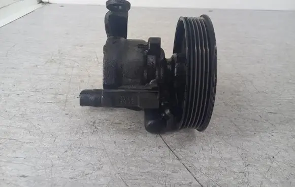 Renault Scenic I Power steering pump 8200246248