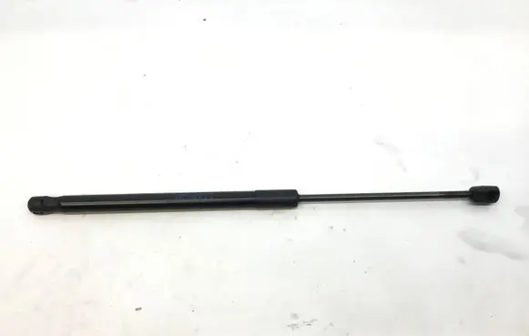 Mercedes-Benz AMG GT R190 C190 Front bonnet/hood damper/strut A1909800164