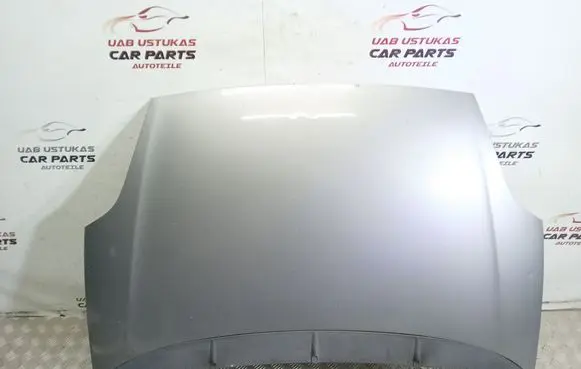 Engine bonnet/hood