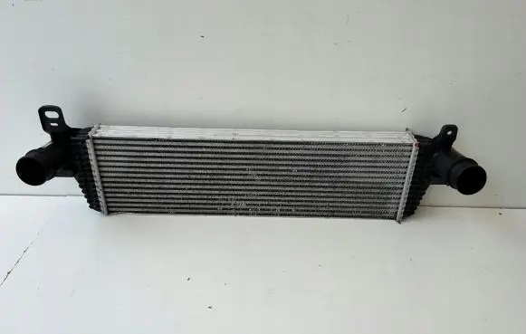 Volkswagen Multivan T5 Intercooler radiator 7E0145804A