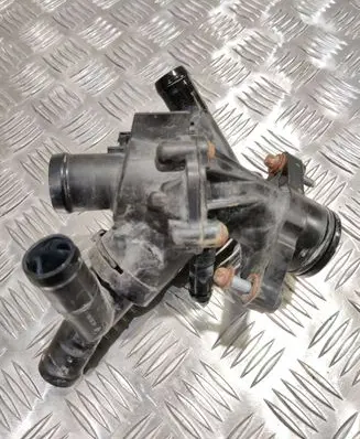 Thermostat/thermostat housing