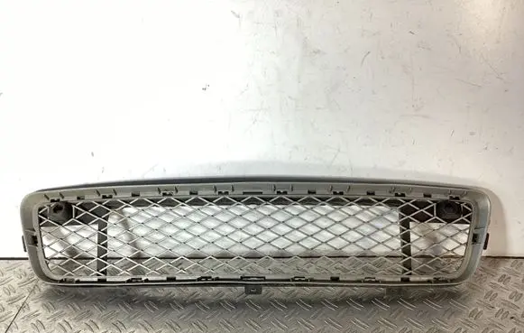 BMW X5 E70 Front bumper lower grill 51117163956