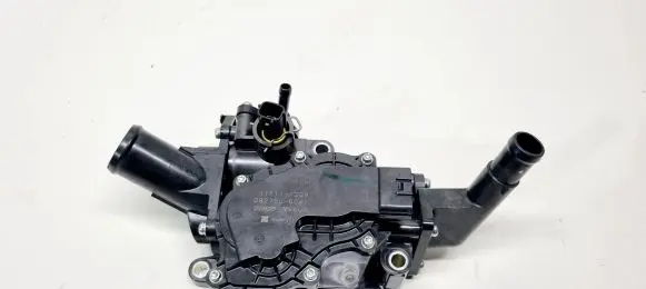 Thermostat/thermostat housing