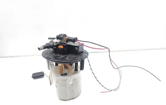 Peugeot 2008 II In-tank fuel pump 28551227 28514584 42027117