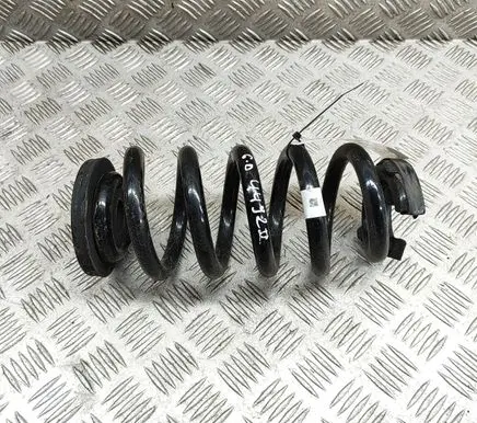 Cupra Born Rear coil spring 1EA511103R