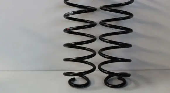Ford Focus Rear coil spring 