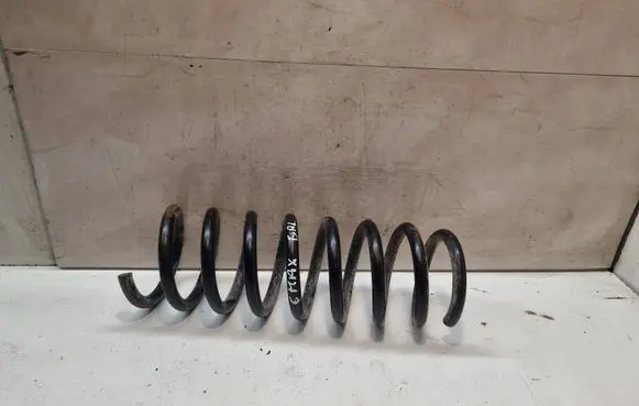 Rear coil spring