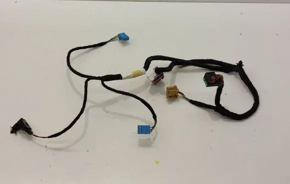 Volkswagen PASSAT CC Front door wiring loom 3C8971557AG