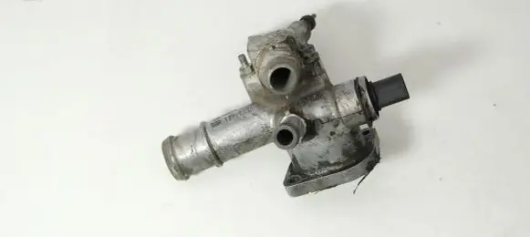 Thermostat/thermostat housing