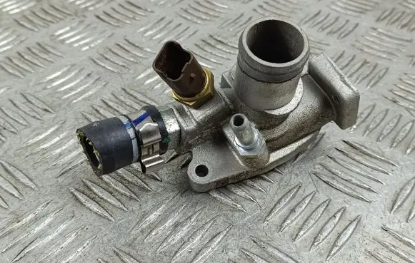Thermostat/thermostat housing