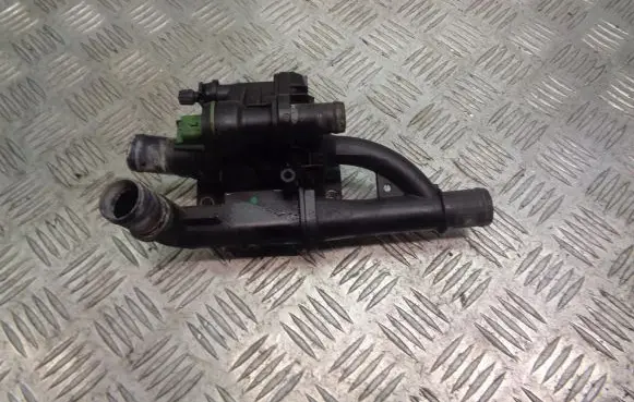 Thermostat/thermostat housing