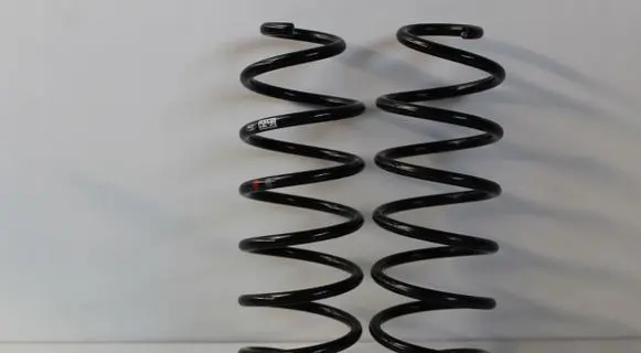 Ford Focus Rear coil spring