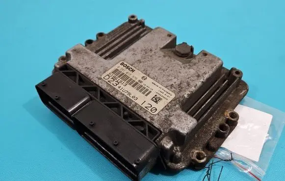 Engine control unit/module ECU