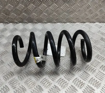 Tesla Model Y Rear coil spring 118847500D