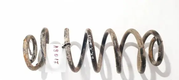 Volkswagen Tiguan Rear coil spring