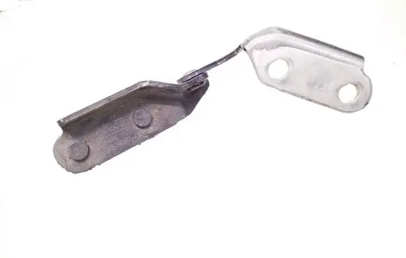 Ford Kuga III Tailgate/trunk/boot hinge LJ6BS42901AB