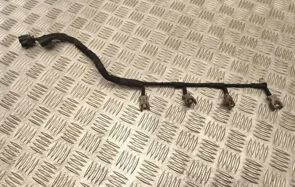 Citroen C5 Fuel injector wires 