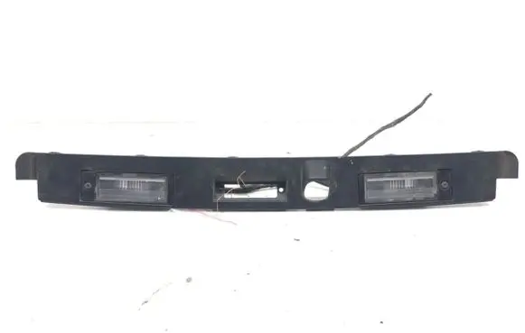 Trunk door license plate light bar