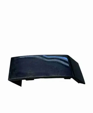 Rear/tail light trim molding