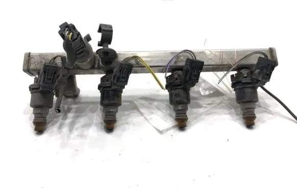 Opel Corsa E LP gas injector 55491025