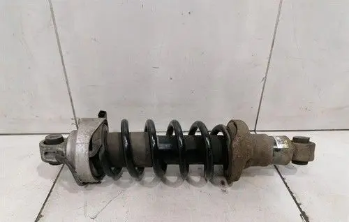 Audi R8 42 Rear shock absorber with coil spring 420512019AF