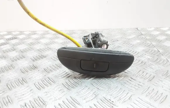 Renault Scenic RX Loading door exterior handle 