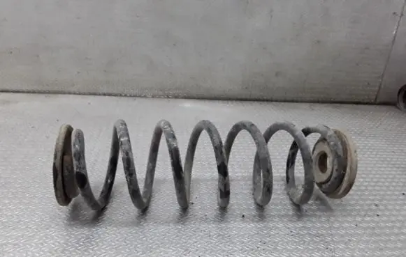 Volkswagen PASSAT B6 Rear coil spring