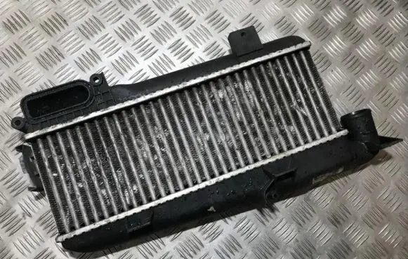 Citroen Xsara Intercooler radiator 9613541380 50277557