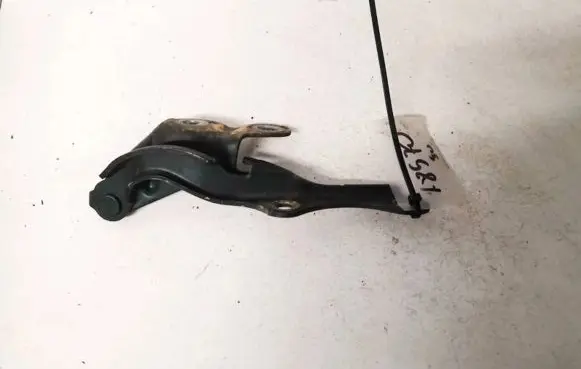 Lexus IS 200-300 Engine bonnet/hood hinges