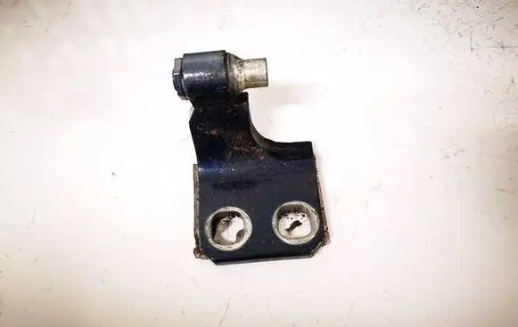 Rear door lower hinge