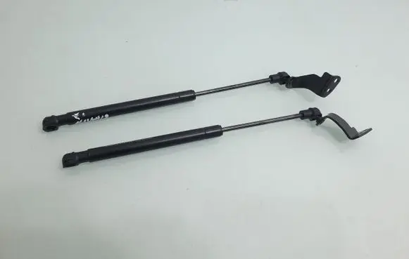 Chevrolet Captiva Rear window strut damper 82553891300