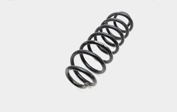 Volkswagen PASSAT B7 USA Rear coil spring
