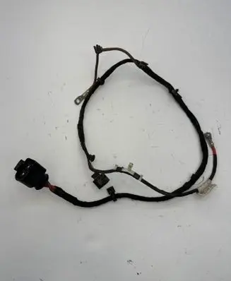 Skoda Enyaq iV Other wiring loom 1EB971111D