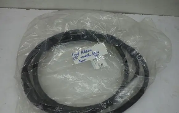 Opel Adam Front door rubber seal 13350527
