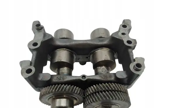 Renault Koleos I Camshaft 
