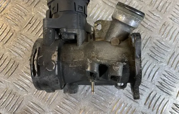 EGR valve
