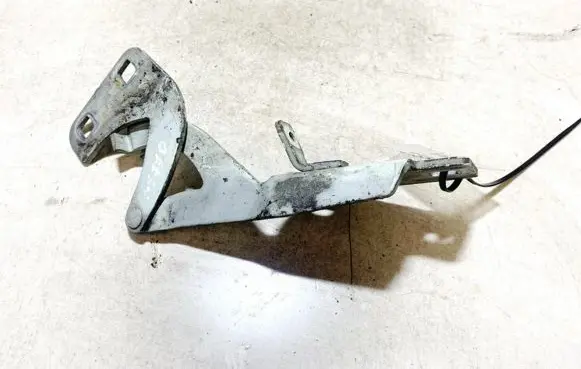 Citroen Berlingo Engine bonnet/hood hinges