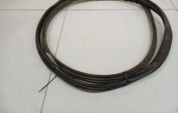 Renault Scenic III - Grand scenic III Rubber seal front coupe door
