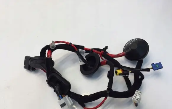 Hyundai Ioniq Rear door wiring loom 91650G2391