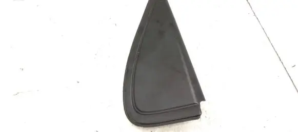 Rear door trim (molding)