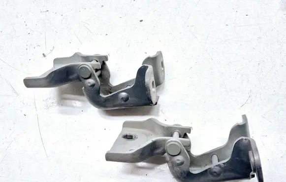 Renault Trafic II (X83) Front door hinge set 311772M