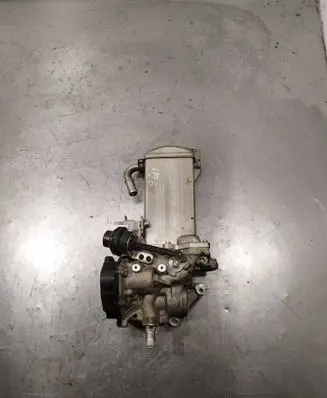 EGR valve