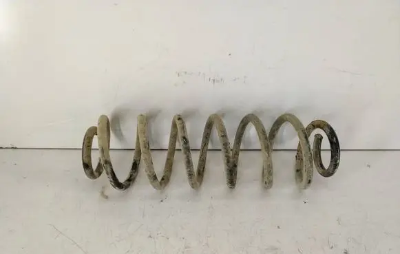 Rear coil spring